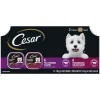 Cesar Classic Loaf Small Breed Adult Beef Pate Wet Dog Food Variety Pack, 3.5 Oz. Tray, Pack Of 12