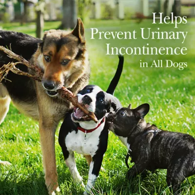 Nutri-Vet Bladder Control Chewable Supplement For Dogs, 90 Ct. - Image 3