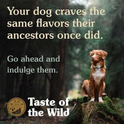 Taste Of The Wild Southwest Canyon Canine Recipe With Wild Boar Dry Dog Food - Image 6