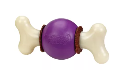 PetSafe Busy Buddy Bouncy Bone Dog Chew Toy, Medium/Large