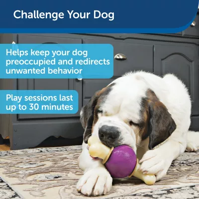 PetSafe Busy Buddy Bouncy Bone Dog Chew Toy, Medium/Large - Image 4