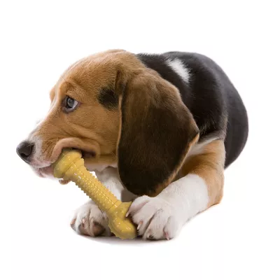 Nylabone Power Chew Barbell Dog Toy, M/L, NBC903P - Image 7