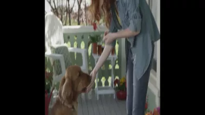 NaturVet ArthriSoothe-GOLD Clinically Tested Advanced Care Soft Chew Hip And Joint Supplement For Dogs And Cats, 180 Ct. - Image 3