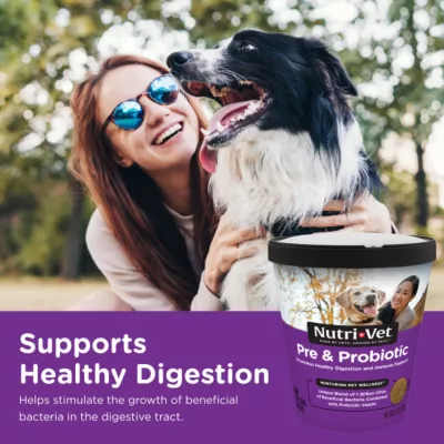 Nutri-Vet Pre And Probiotic Soft Chew Digestive Supplement For Dogs, 7.2 Oz., 120 Ct. - Image 6