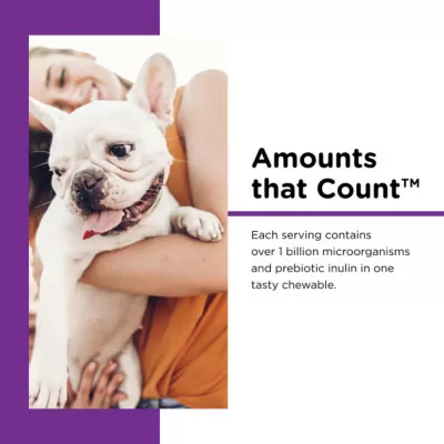 Nutri-Vet Pre And Probiotic Soft Chew Digestive Supplement For Dogs, 7.2 Oz., 120 Ct. - Image 7