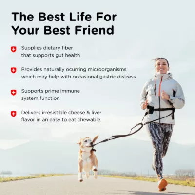 Nutri-Vet Pre And Probiotic Soft Chew Digestive Supplement For Dogs, 7.2 Oz., 120 Ct. - Image 8