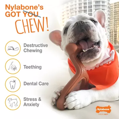 Nylabone Power Chew Antler Venison Dog Chew, Medium - Image 4