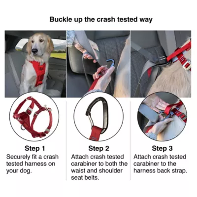 Kurgo Tru-Fit Enhanced Strength Dog Harness - Crash Tested Car Safety Harness For Dogs - Image 4