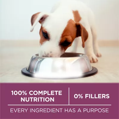 Purina ONE Natural, High Protein Dry Puppy Food, +Plus Healthy Puppy Formula - Image 6