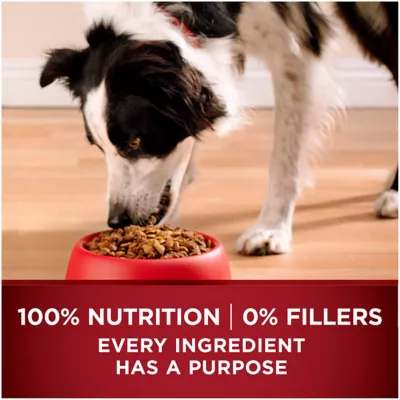 Purina ONE True Instinct Adult Natural Turkey And Venison Recipe Dry Dog Food - Image 9