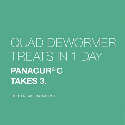 Elanco Quad Dewormer (praziquantel/pyrantel Pamoate/febantel) Chewable Tablets For Medium Dogs, 68 Mg - Image 3