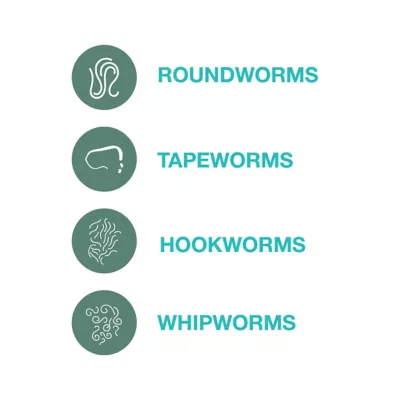 Elanco Quad Dewormer (praziquantel/pyrantel Pamoate/febantel) Chewable Tablets For Medium Dogs, 68 Mg - Image 9