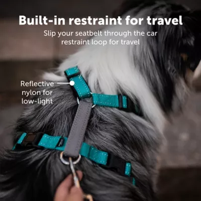 PetSafe 3 In 1 Dog Harness And Car Restraint - Image 3