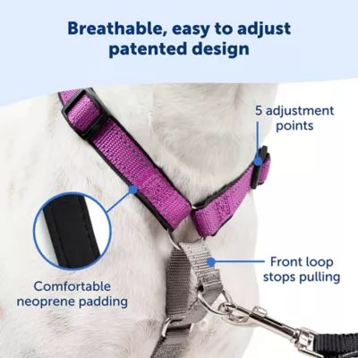 PetSafe 3 In 1 Dog Harness And Car Restraint - Image 4