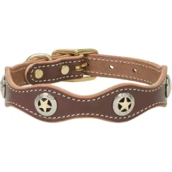 Weaver Leather Lone Star Legend Dog Collar