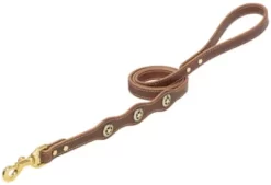 Weaver Leather Lone Star Legend Dog Leash, 5/8 In. X 4 Ft.