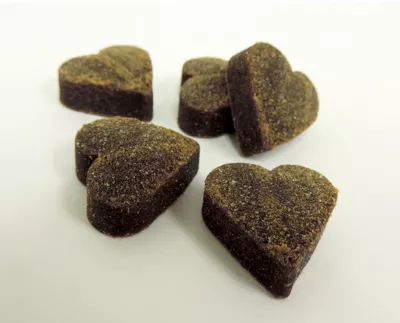 Healthy Breeds Multi-Vitamin Soft Chew Dog Supplement For Havanese, 60 Ct. - Image 2