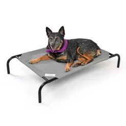 Coolaroo Elevated Dog Bed