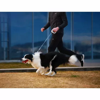 Petkit Go Bluetooth Distance Activity Monitoring And Handle Notification Vibrating Smart Dog Leash, White - Image 3