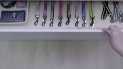 Petkit Go Bluetooth Distance Activity Monitoring And Handle Notification Vibrating Smart Dog Leash, White - Image 12