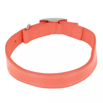 Retriever Double-Ply Reflective Dog Collar, Orange - Image 2