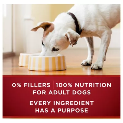 Purina ONE SmartBlend Adult Turkey, Venison, Chicken And Duck Cuts In Gravy Wet Dog Food Variety Pack, 13 Oz. Can, Pack Of 12 - Image 5