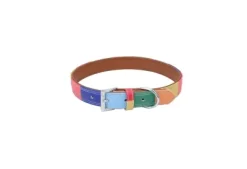 Retriever Rainbow Leather Dog Collar, 22 In.