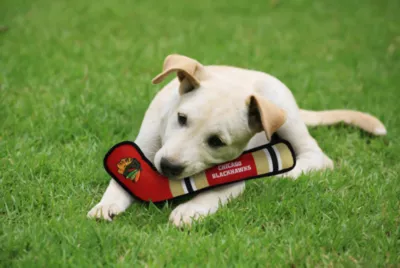Pets First Chicago Blackhawks Hockey Stick Dog Toy - Image 2