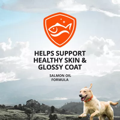 4health Salmon And Pollock Oil Skin And Coat Supplement For Dogs, 16 Oz. - Image 2