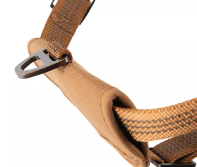 Carhartt Water-Repellent Walking Dog Harness - Image 4