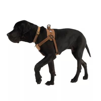 Carhartt Water-Repellent Walking Dog Harness - Image 7