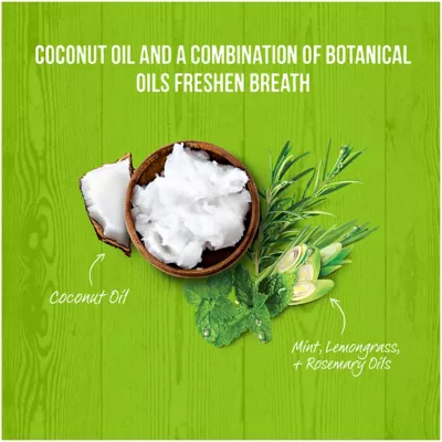 Merrick Fresh Kisses Large Coconut Flavor Dental Care Dog Treats, 24 Oz., 16 Ct. - Image 3