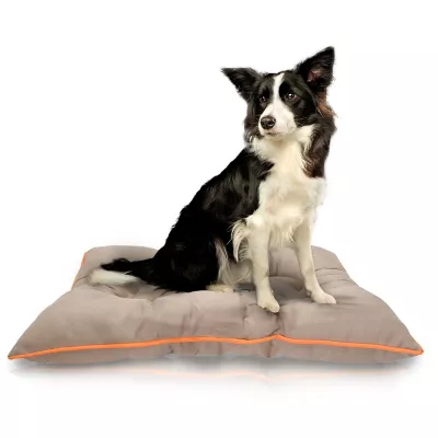 Precious Tails Waterproof Fabric Chew-Resistant Go Anywhere Reversible Pillow Pet Bed, 3523BTKM-GRW