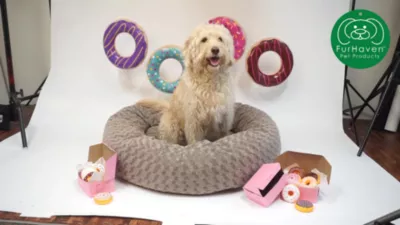 FurHaven Plush Donut Pet Bed - Image 5