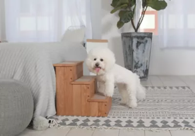 Zoovilla Yorkshire Pet Step With Storage - Image 2