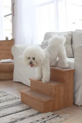 Zoovilla Yorkshire Pet Step With Storage - Image 5