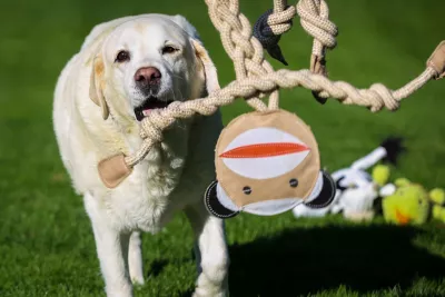 Hugglehounds Rope Knottie Dog Toy, Extra Large - Image 5