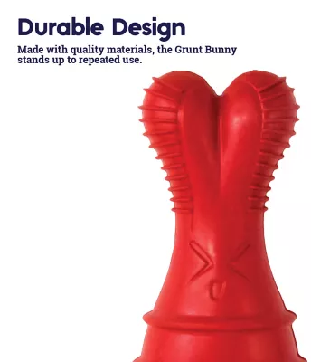 Petstages Grunt Fetch Stick Bunny Dog Toy, Red - Image 4