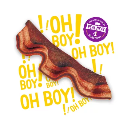 Purina Beggin' Strips Hickory Flavored Dog Treats, 40 Oz. - Image 2