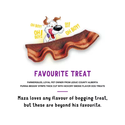 Purina Beggin' Strips Hickory Flavored Dog Treats, 40 Oz. - Image 5
