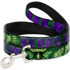 Buckle-Down Hulk Face Close-Up/Action Pose Dog Leash, 1 In. X 4 Ft., Greens/Purples