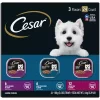 Cesar Small Breed Adult Beef Filets In Gravy Wet Dog Food Variety Pack, 3.5 Oz. Can, Pack Of 24