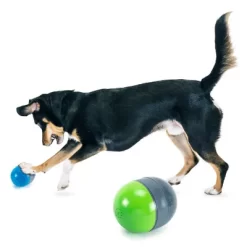 PetSafe Ricochet Electronic Dog Toys