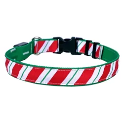 Yellow Dog Design Peppermint Stick Kelly LED Dog Collar