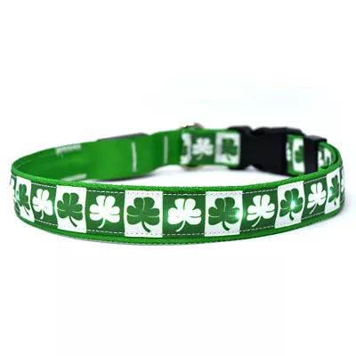 Yellow Dog Design Shamrock Kelly LED Dog Collar