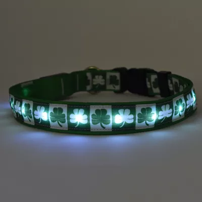 Yellow Dog Design Shamrock Kelly LED Dog Collar - Image 2