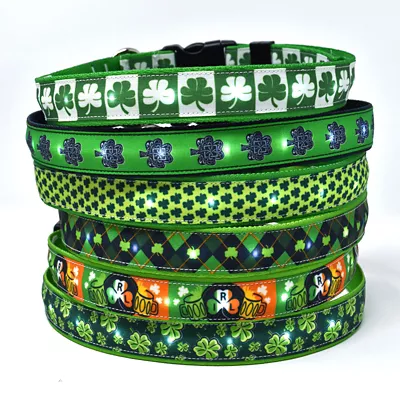 Yellow Dog Design Shamrock Kelly LED Dog Collar - Image 4