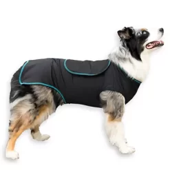 Benefab Canine Comfort And Care Dog Shirt