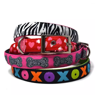 Yellow Dog Design Crazy Hearts Uptown Dog Collar - Image 2