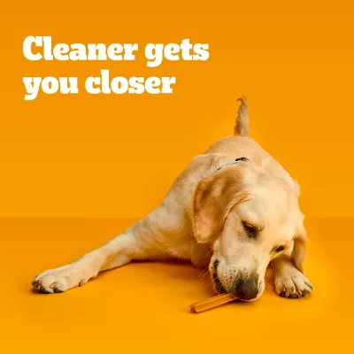 DENTASTIX Large Dog Dental Care Treats Original, Beef & Fresh Variety Pack, 2.73 Lb. (51 Treats) - Image 3